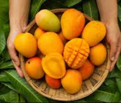 Himsagar Mango | হিমসাগর আম